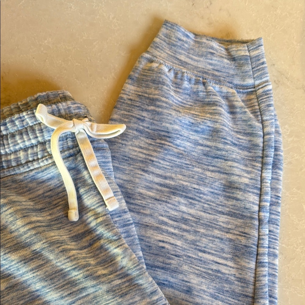 J Crew Cozy Blue Jogger Pants - Picture 2 of 3